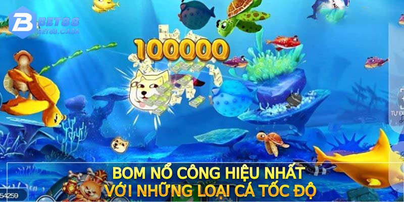 Bom nổ công hiệu nhất với những loại cá tốc độ