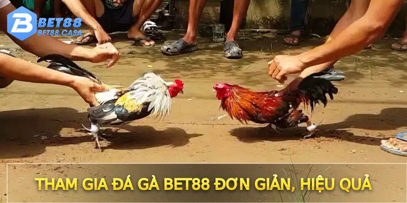 Tham gia Đá gà Bet88 đơn giản, hiệu quả