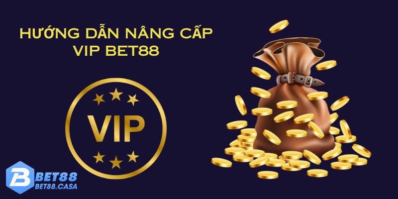 Cách để nâng cấp lên VIP BET88