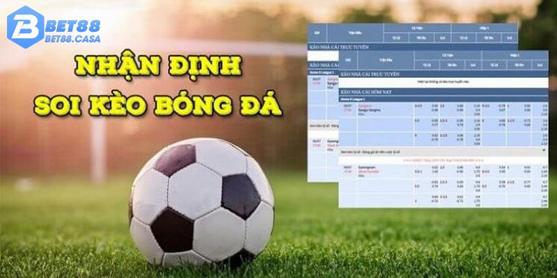 Bet88 - địa chỉ soi kèo danh tiếng nhất 2023