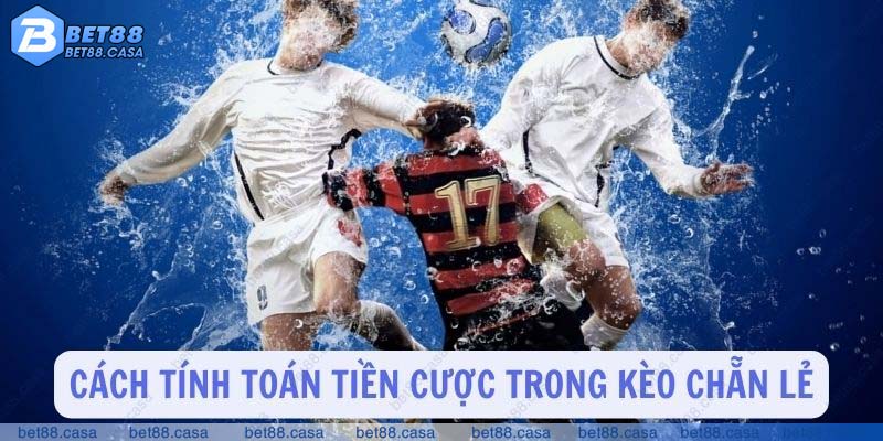 Cách tính tiền cược trong kèo chẵn lẻ