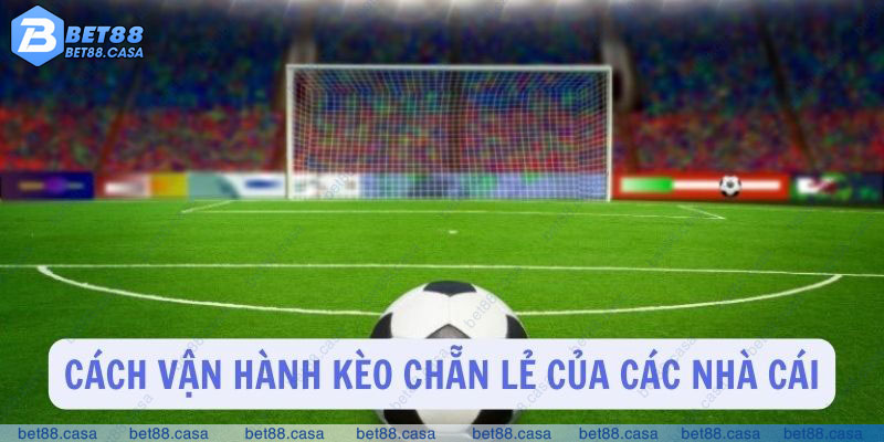 Làm rõ cách vận hành kèo chẵn lẻ tại các nhà cái